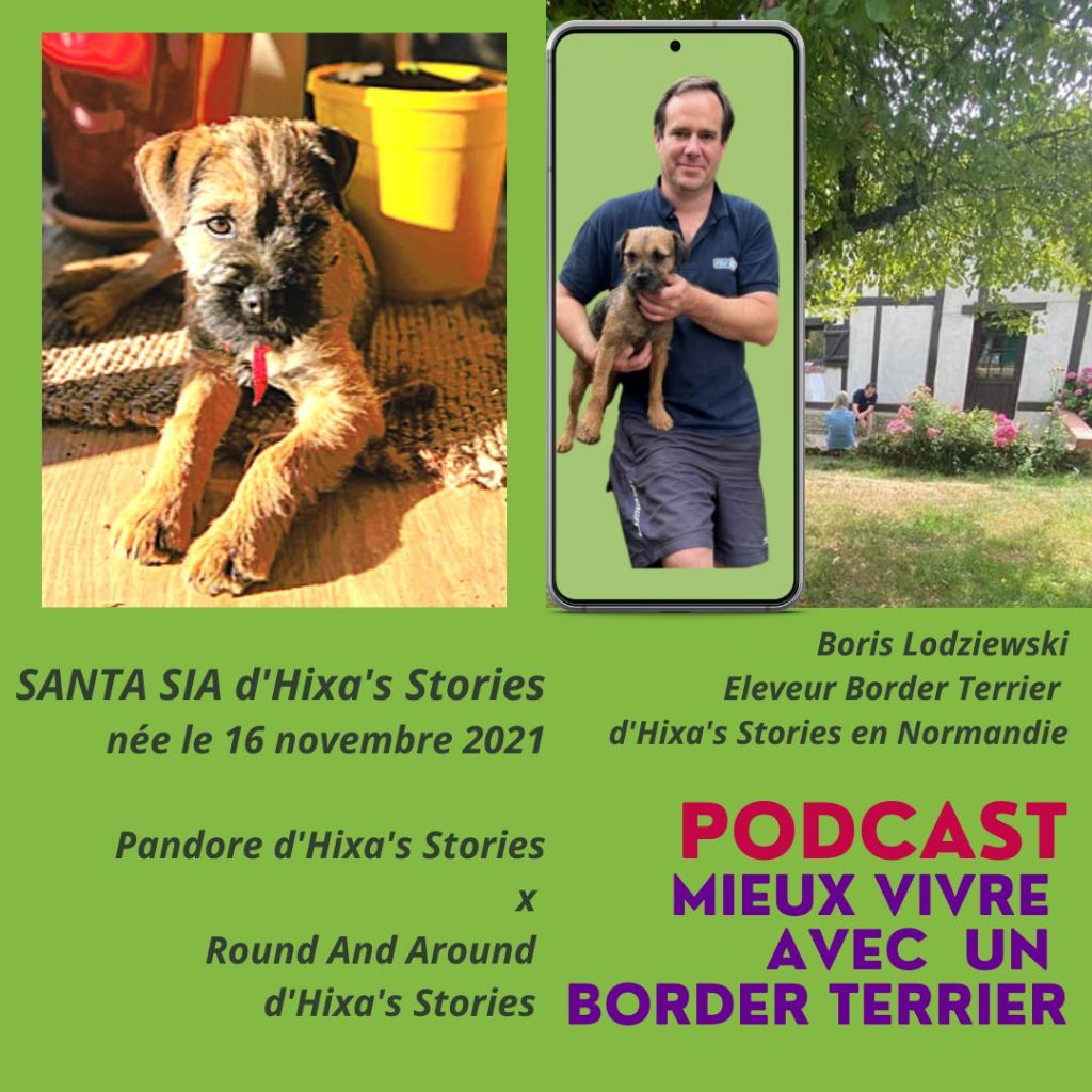 d'Hixa's Stories - Écoutez les interviews des adoptants des border terrier d'Hixa's Stori