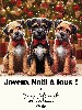  - Joyeux Noël à vous tous !!!