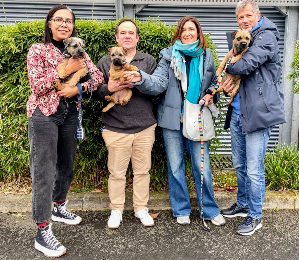 d'Hixa's Stories - La famille Border terrier D'Hixa's Stories au Paris Dog Show 