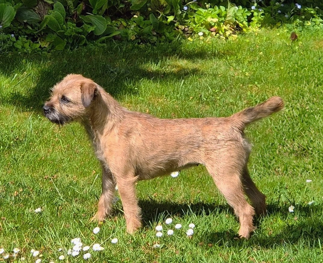 Vilma d'Hixa's Stories