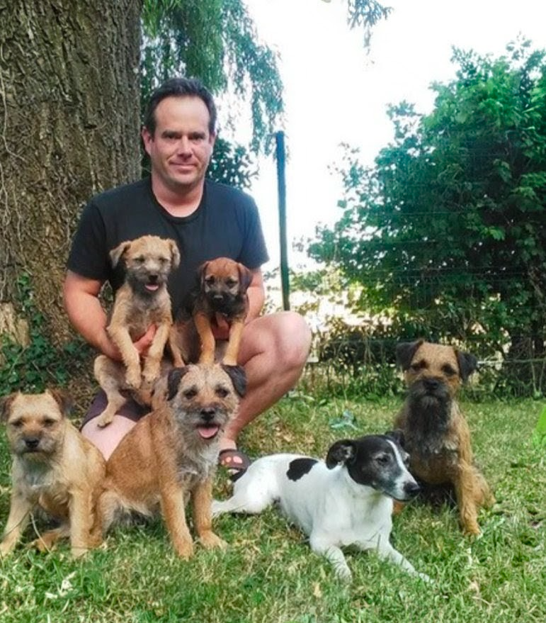 d'Hixa's Stories - Élevage de Border Terrier en France : formation en comportement canin, gestion de groupe et éthique d élevage chez D Hixa s Stories