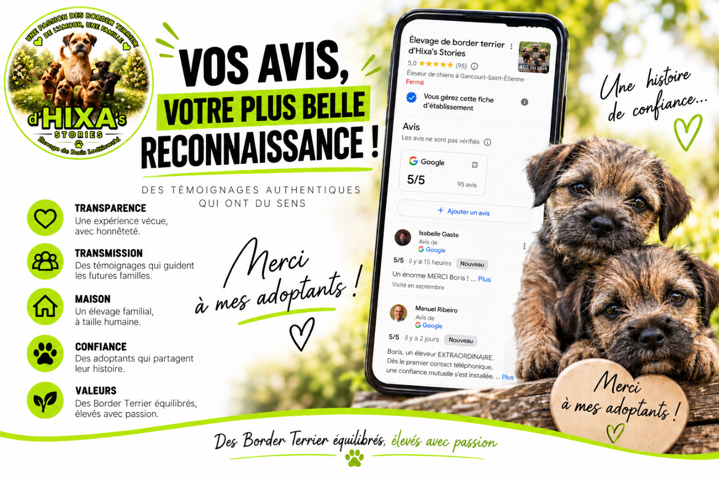 Élevage de Border Terrier en Normandie : les avis des adoptants D Hixa s Stories