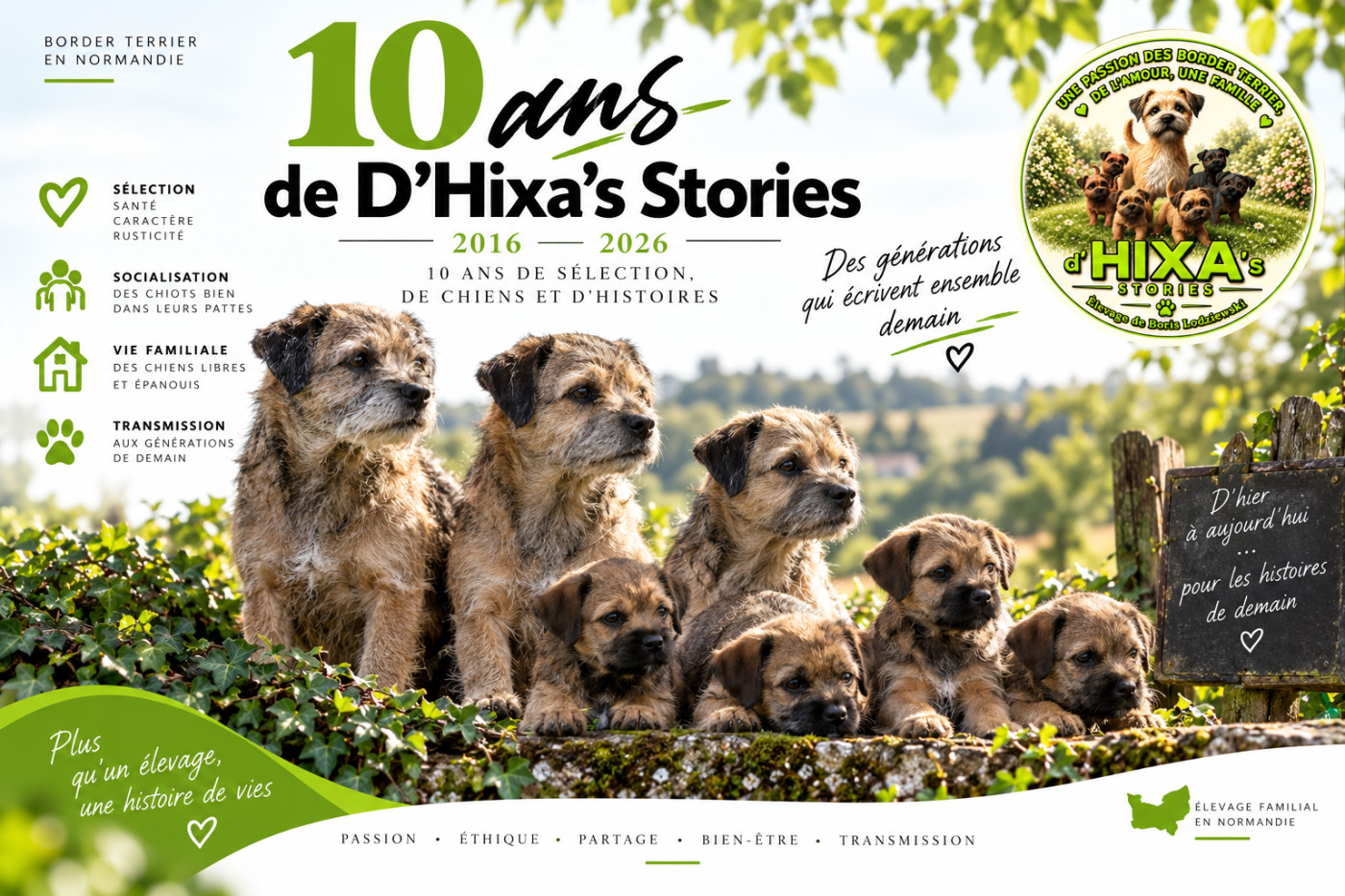 D Hixa s Stories : 10 ans d élevage et de sélection du Border Terrier en Normandie