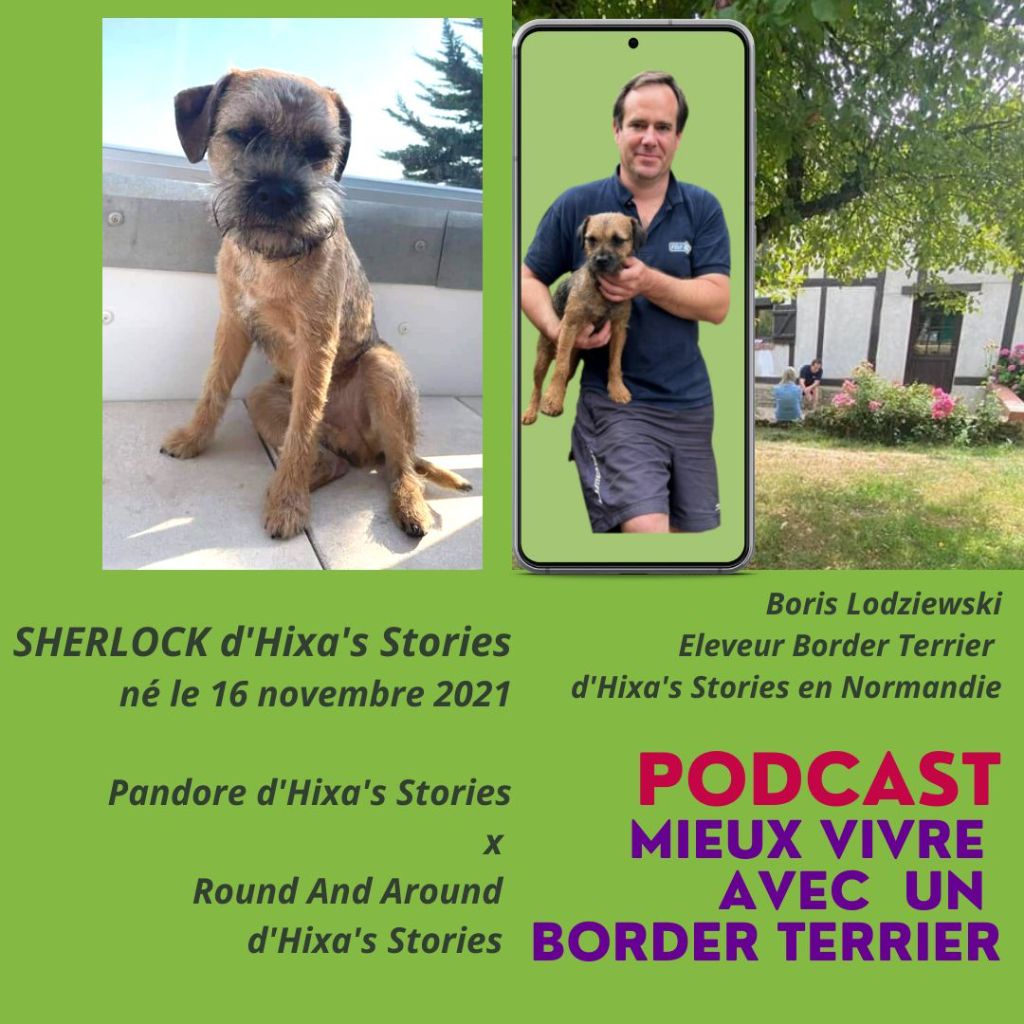 d'Hixa's Stories - ITW De Margaux propriétaire de Sherlock d'Hixa's Stories