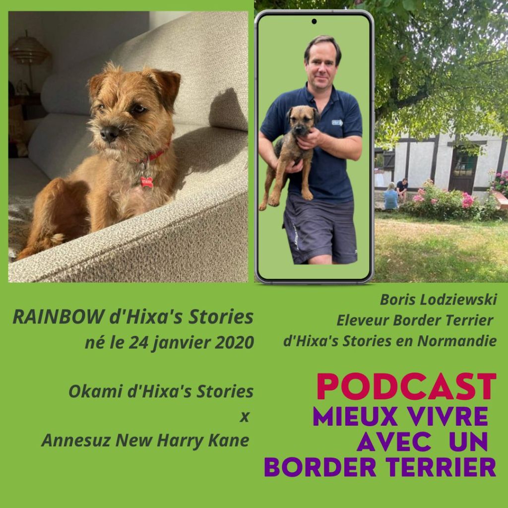 d'Hixa's Stories - Interview de Catherine propriétaire de Rainbow d'Hixa's Stories