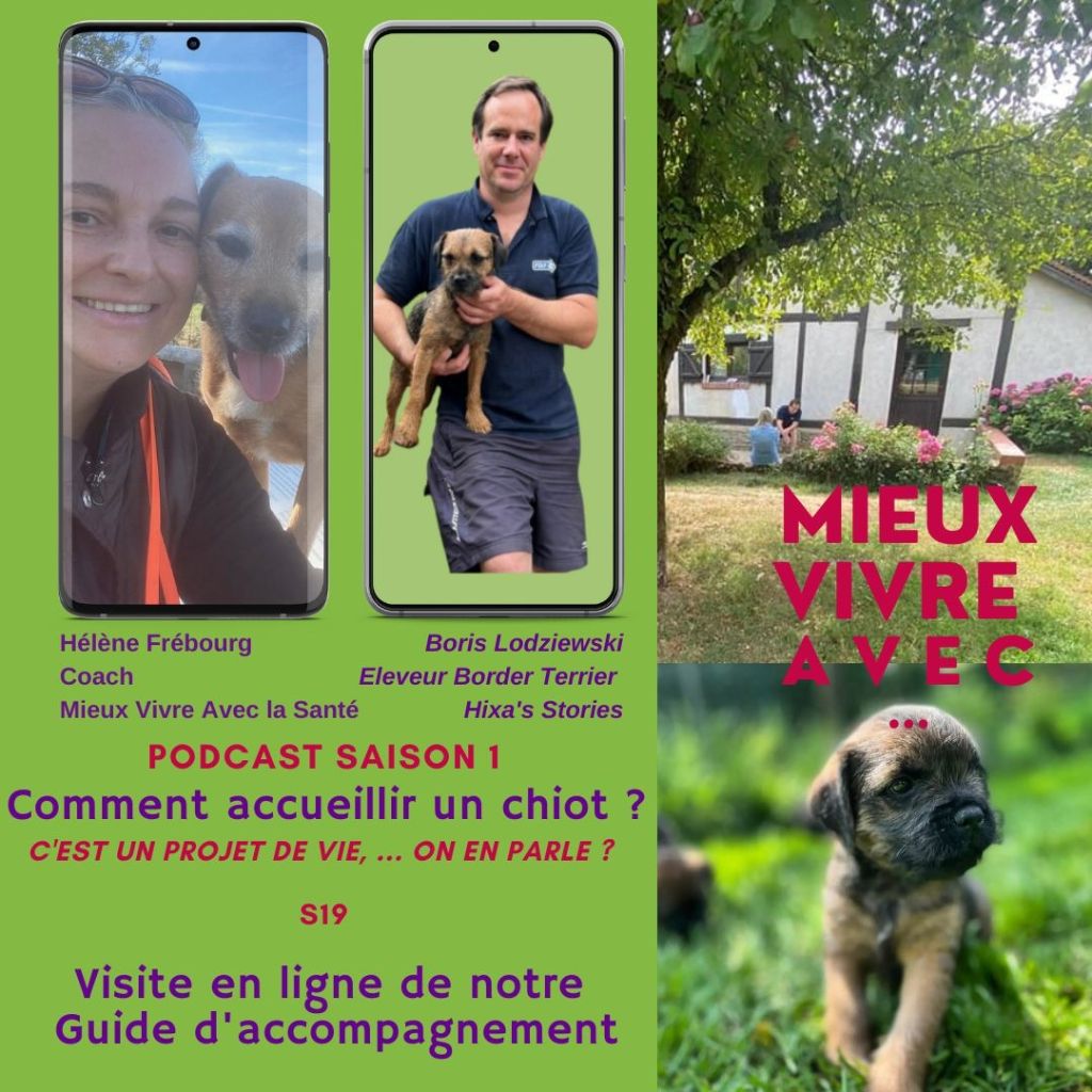 d'Hixa's Stories - Notre neuvième Podcast, visite guidée de notre guide d'aide à la décis
