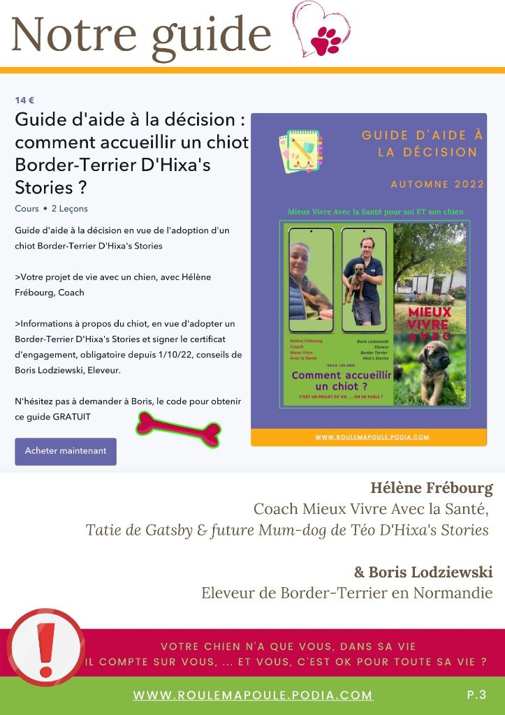 d'Hixa's Stories - Une nouvelle rubrique