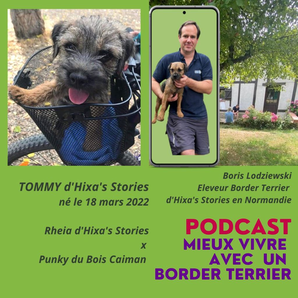 d'Hixa's Stories - Interview de Christophe propriétaire de Tommy d'Hixa's Stories