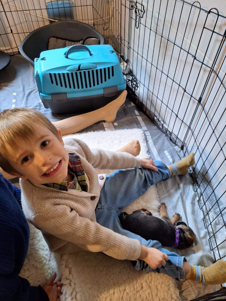 d'Hixa's Stories - Visites des adoptants
