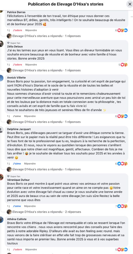d'Hixa's Stories - Bilan 2024