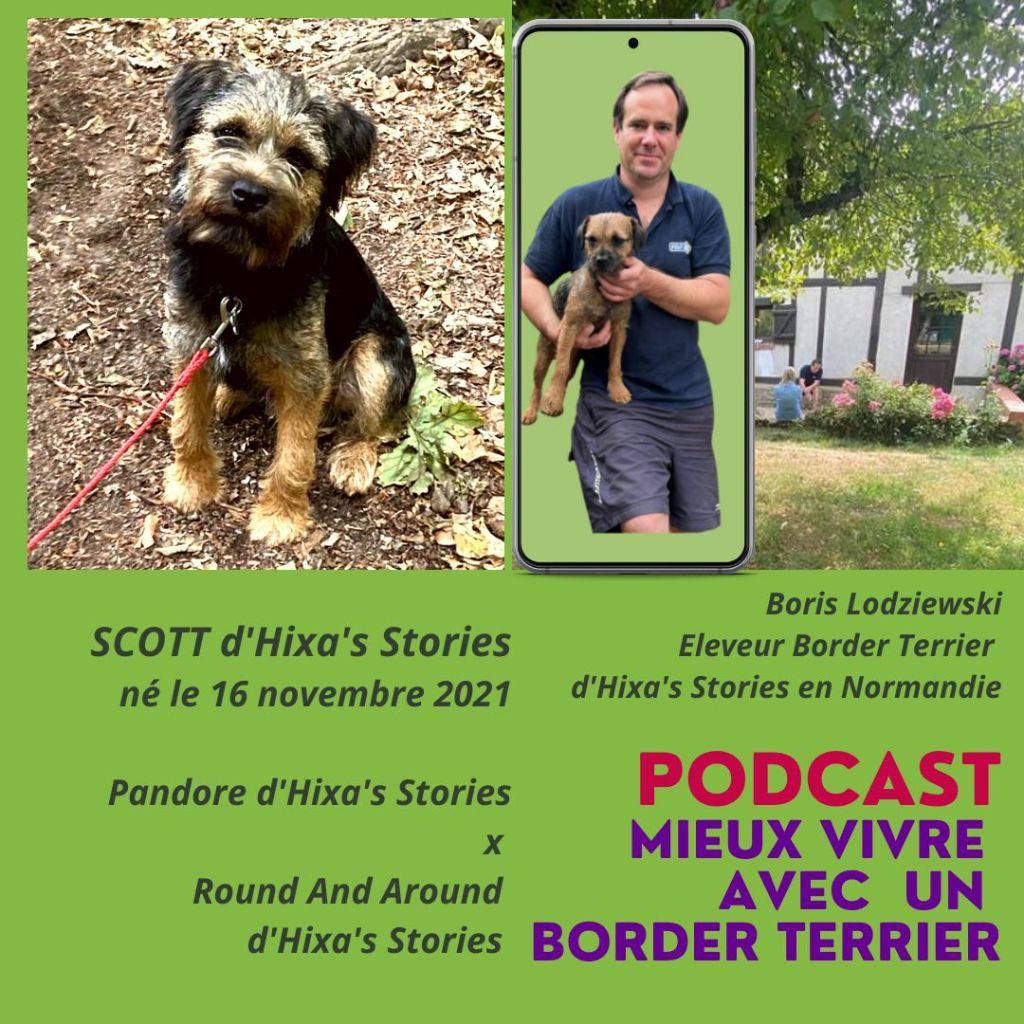 d'Hixa's Stories - Interview de Valérie propriétaire de Scott d'Hixa's Stories