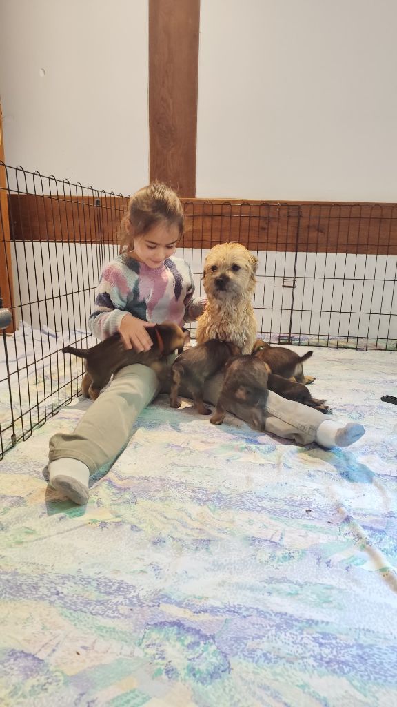 d'Hixa's Stories - Première séance d ostéopathie pour les chiots de Luana